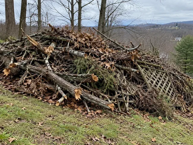 Pile of storm-broken limbs and old lattice stacked at the edge of a sloped backyard